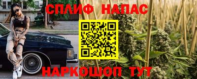 мяу мяу мука Малоярославец