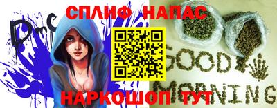 мяу мяу мука Малоярославец