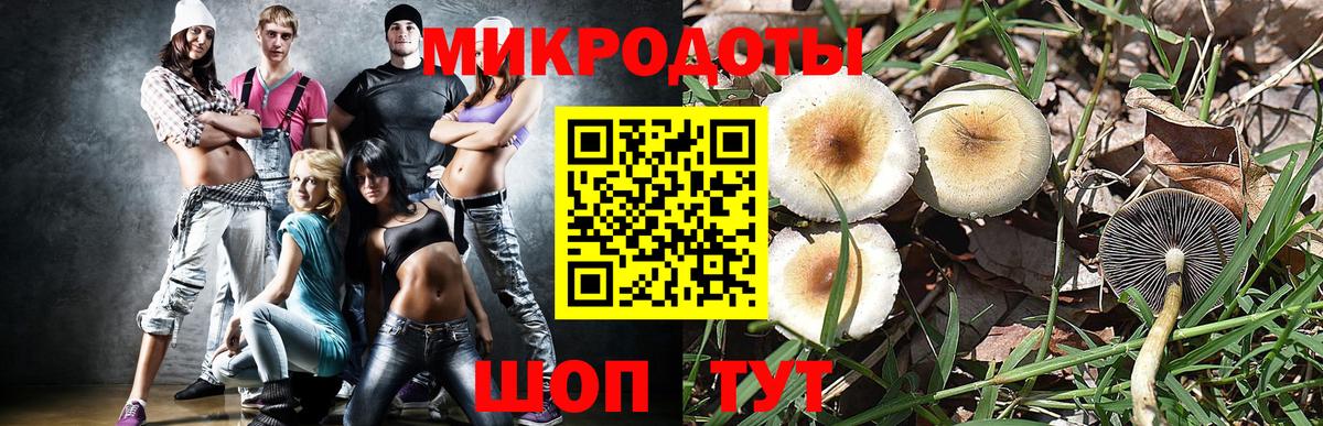 купить  цена  Галлюциногенные грибы MAGIC MUSHROOMS  Псилоцибиновые грибы MAGIC MUSHROOMS  Вход с VPN  Печора 