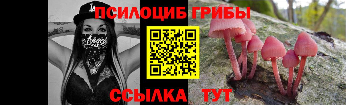 Галлюциногенные грибы Psilocybine cubensis Печора